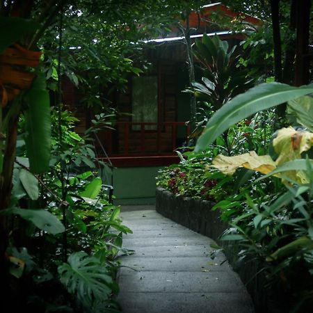 Jaguarundi Jungle Lodge - Monteverde Exterior photo