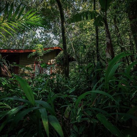 Jaguarundi Jungle Lodge - Monteverde Exterior photo