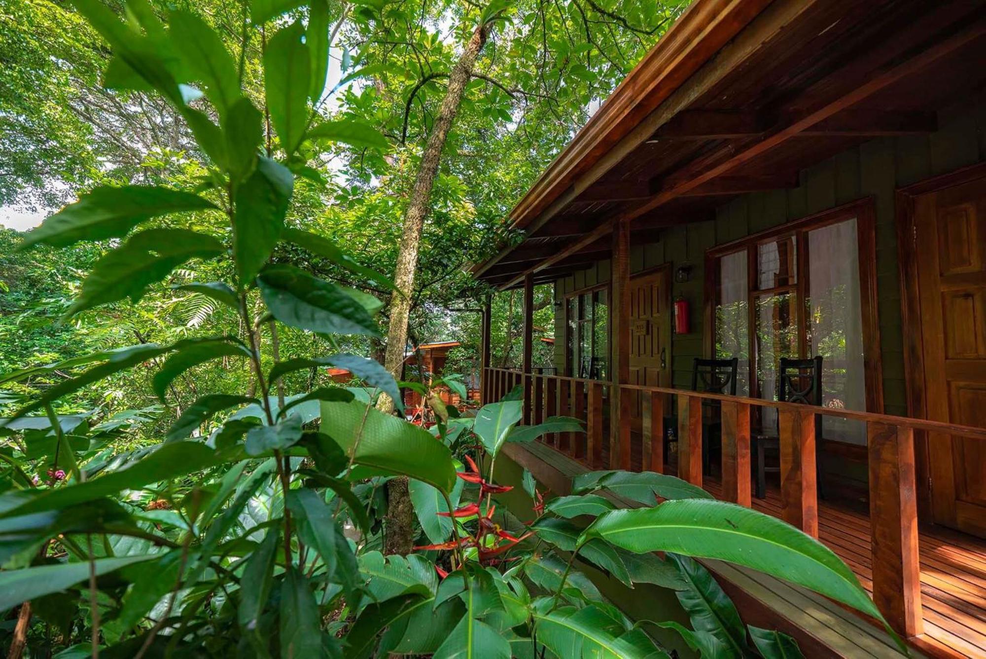 Jaguarundi Jungle Lodge - Monteverde Exterior photo