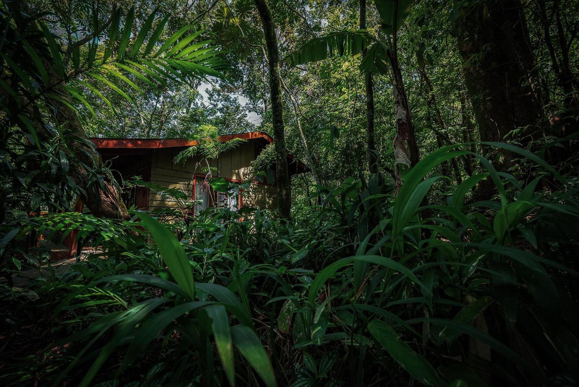 Jaguarundi Jungle Lodge - Monteverde Exterior photo
