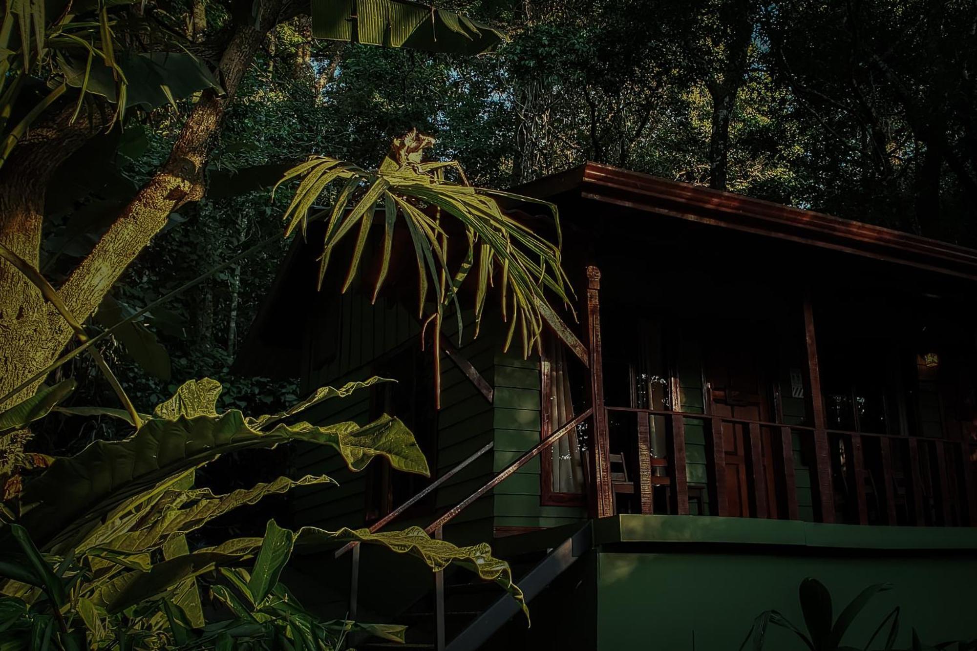 Jaguarundi Jungle Lodge - Monteverde Exterior photo