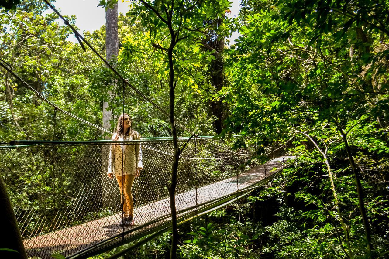 Jaguarundi Jungle Lodge - Monteverde Exterior photo