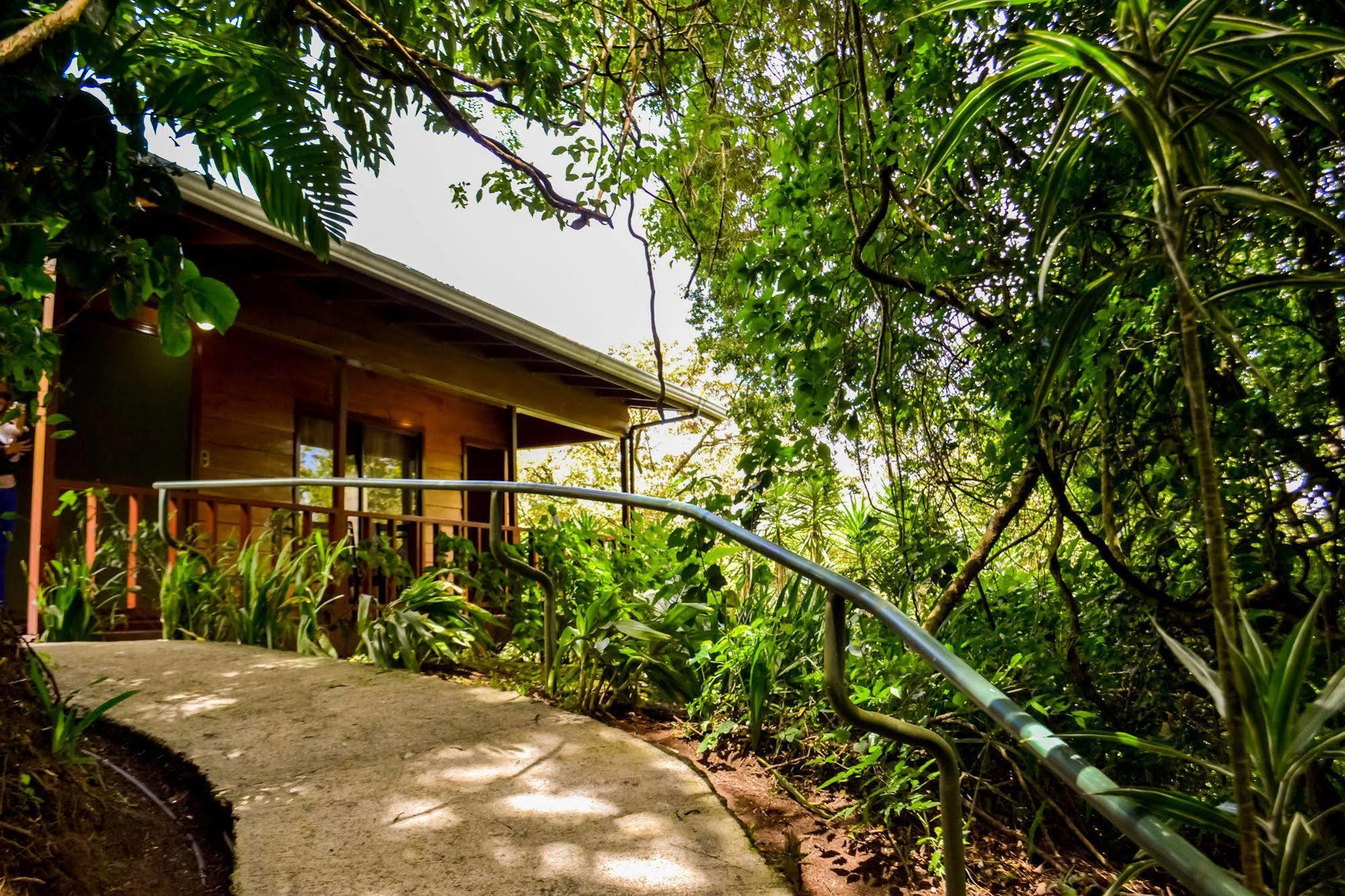 Jaguarundi Jungle Lodge - Monteverde Exterior photo