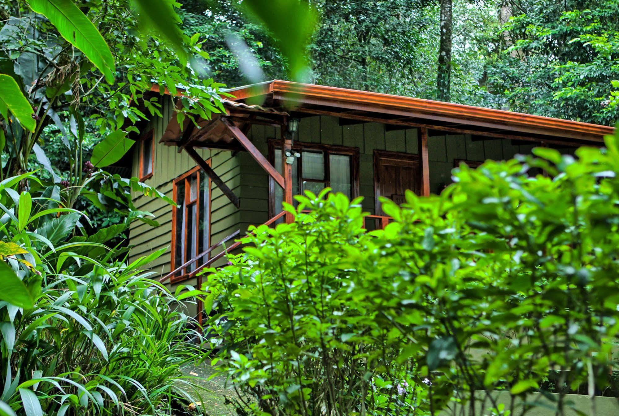 Jaguarundi Jungle Lodge - Monteverde Exterior photo