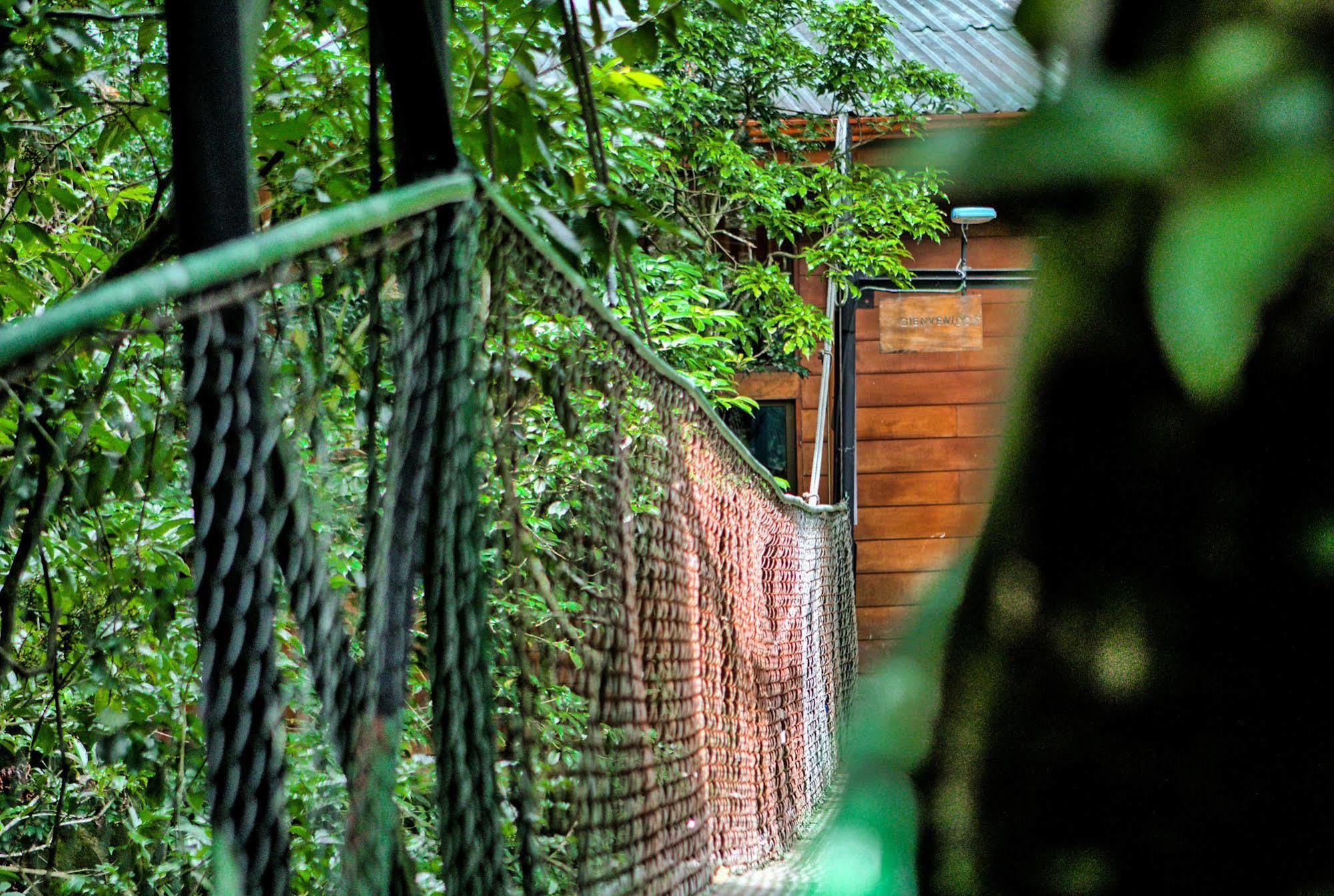 Jaguarundi Jungle Lodge - Monteverde Exterior photo