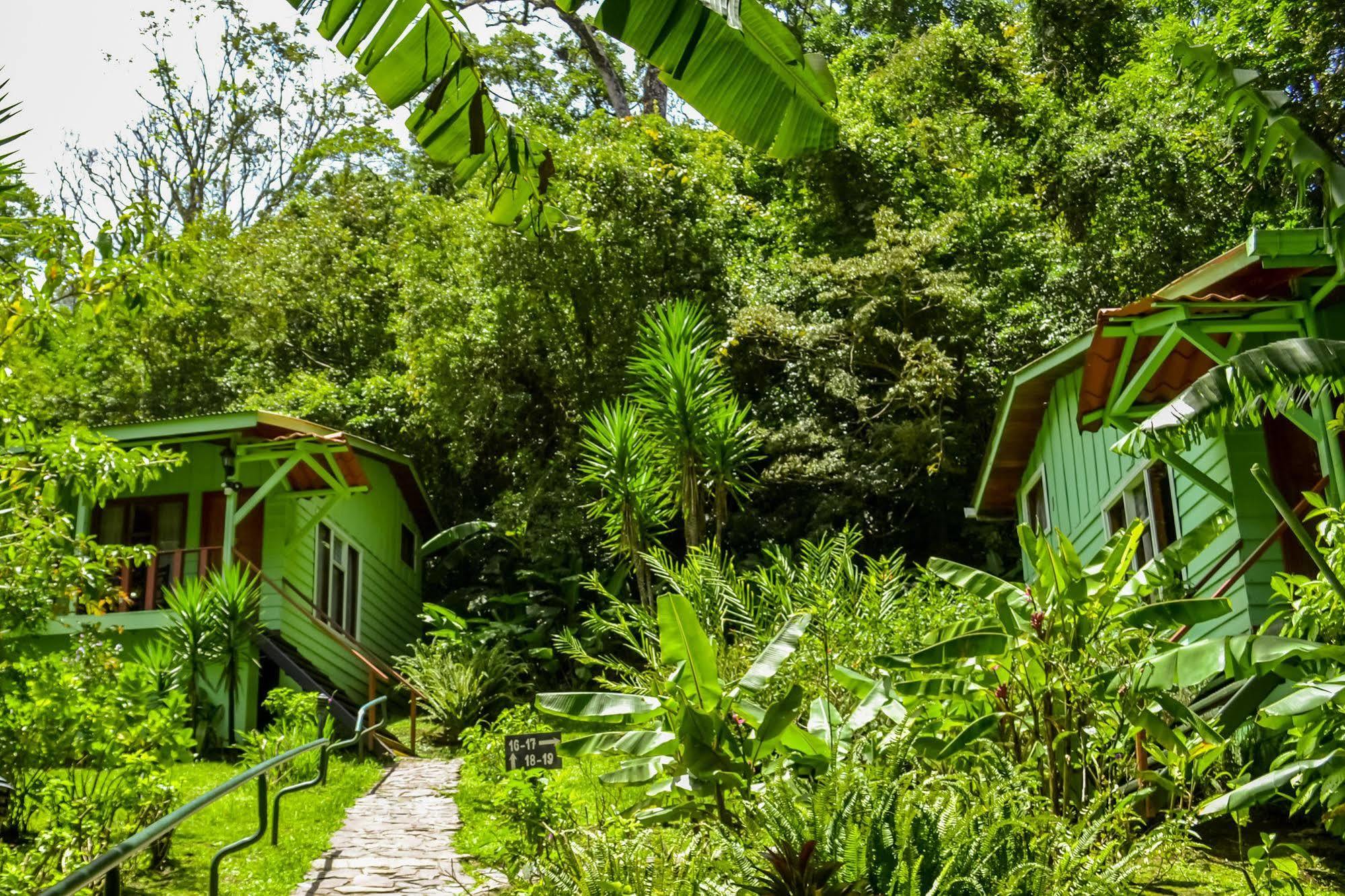 Jaguarundi Jungle Lodge - Monteverde Exterior photo