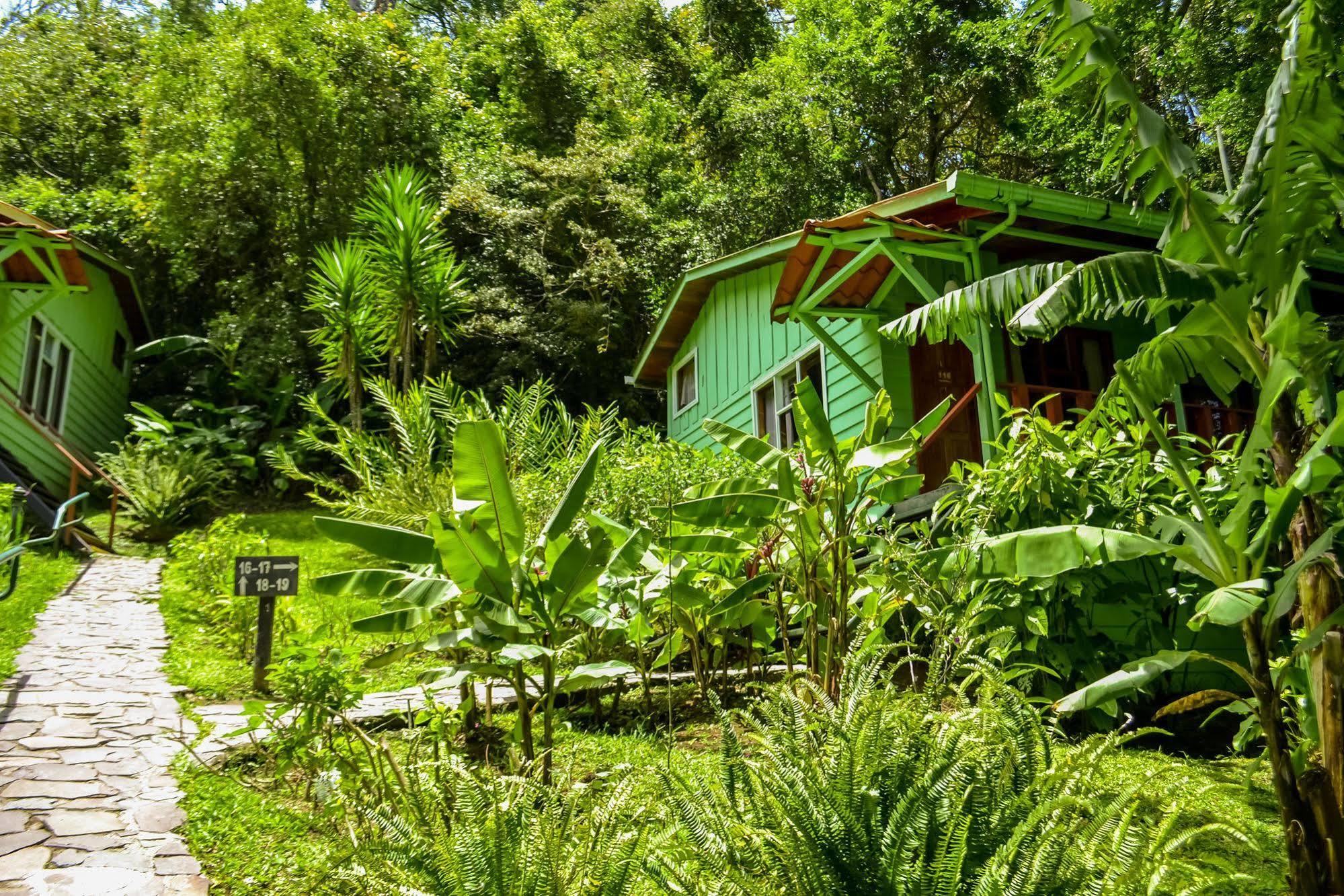 Jaguarundi Jungle Lodge - Monteverde Exterior photo