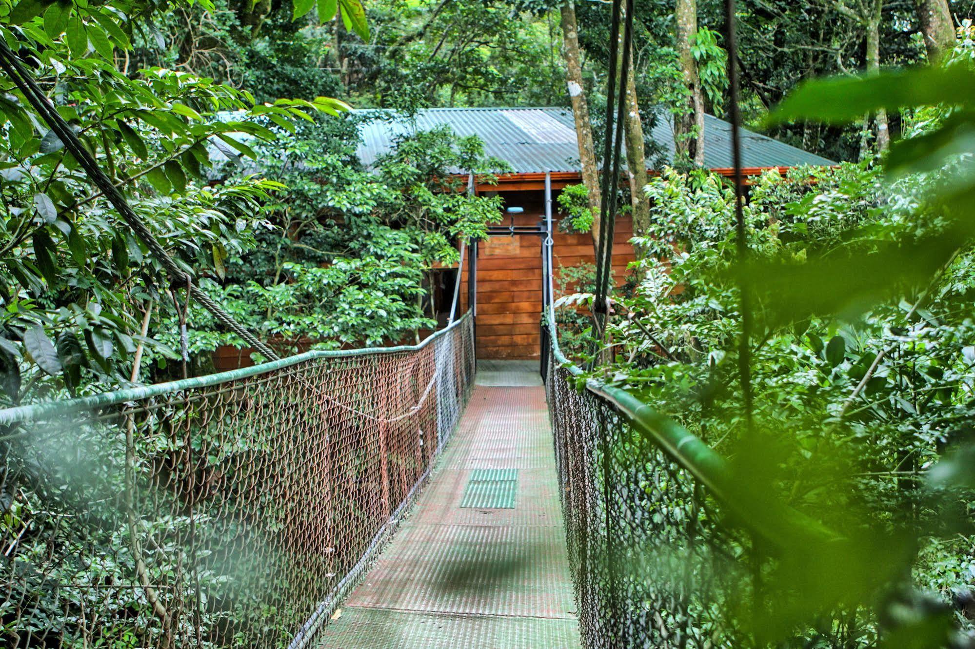 Jaguarundi Jungle Lodge - Monteverde Exterior photo