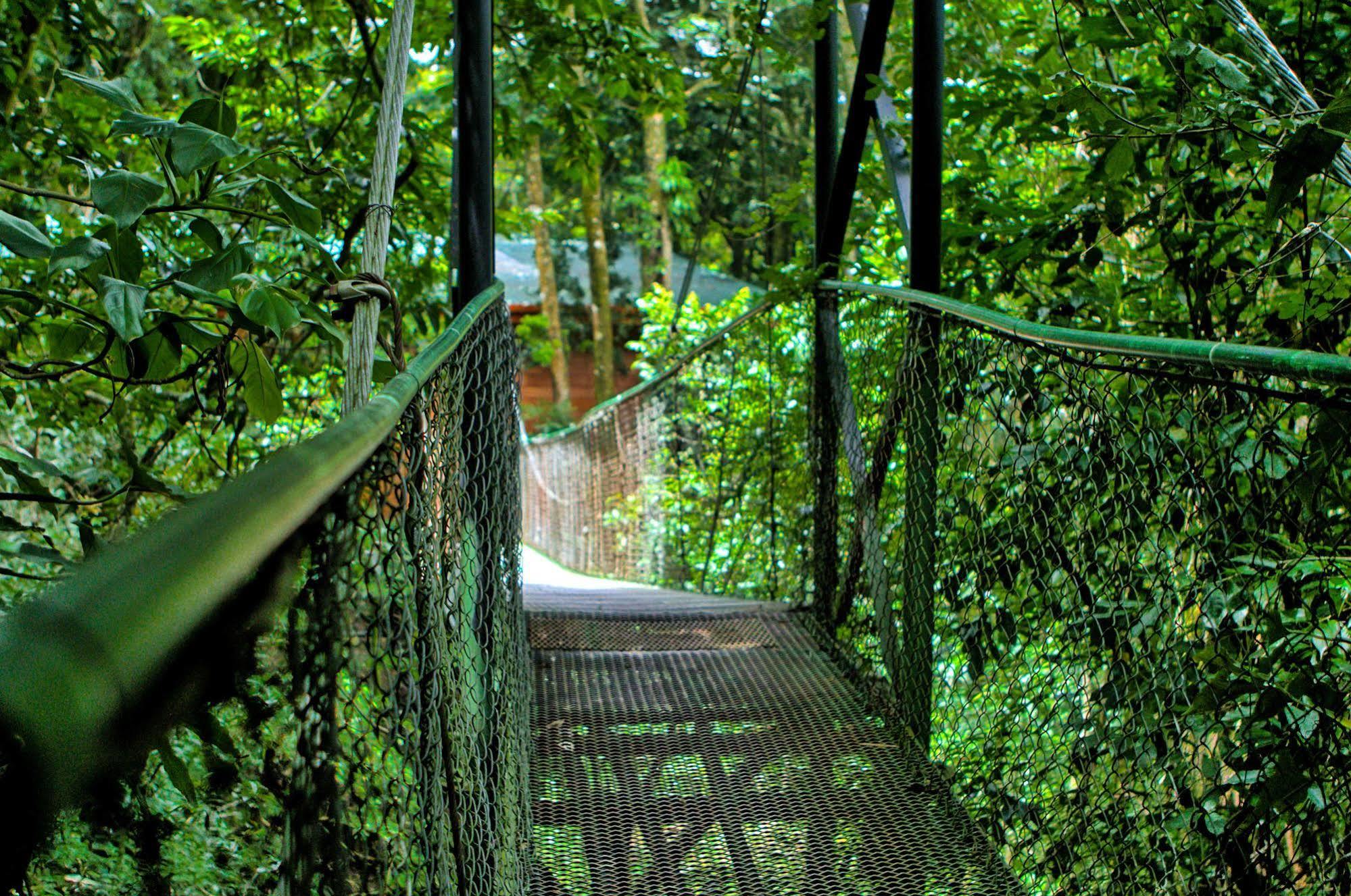 Jaguarundi Jungle Lodge - Monteverde Exterior photo