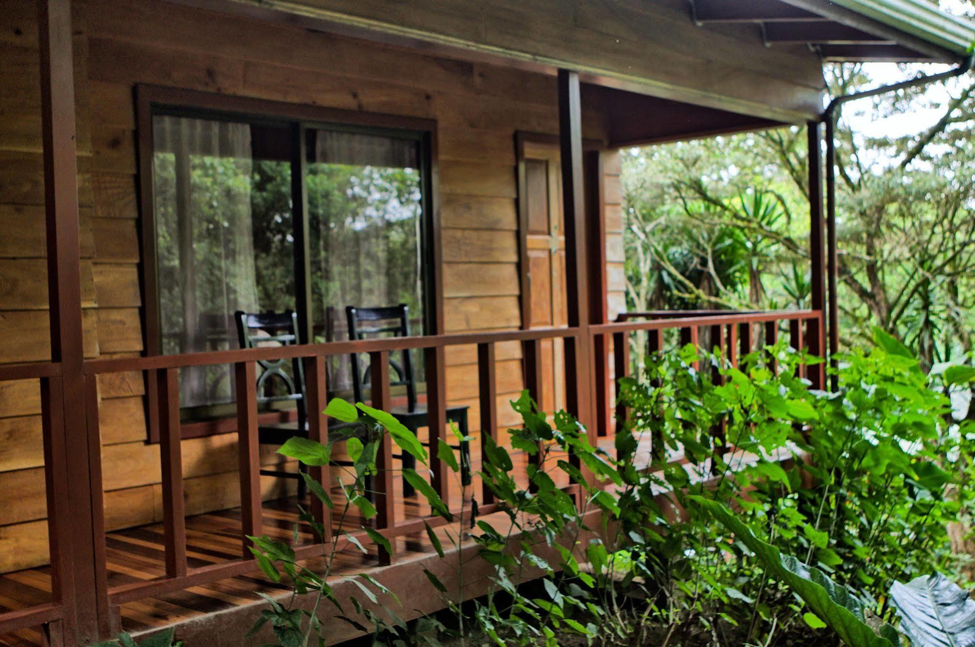 Jaguarundi Jungle Lodge - Monteverde Exterior photo