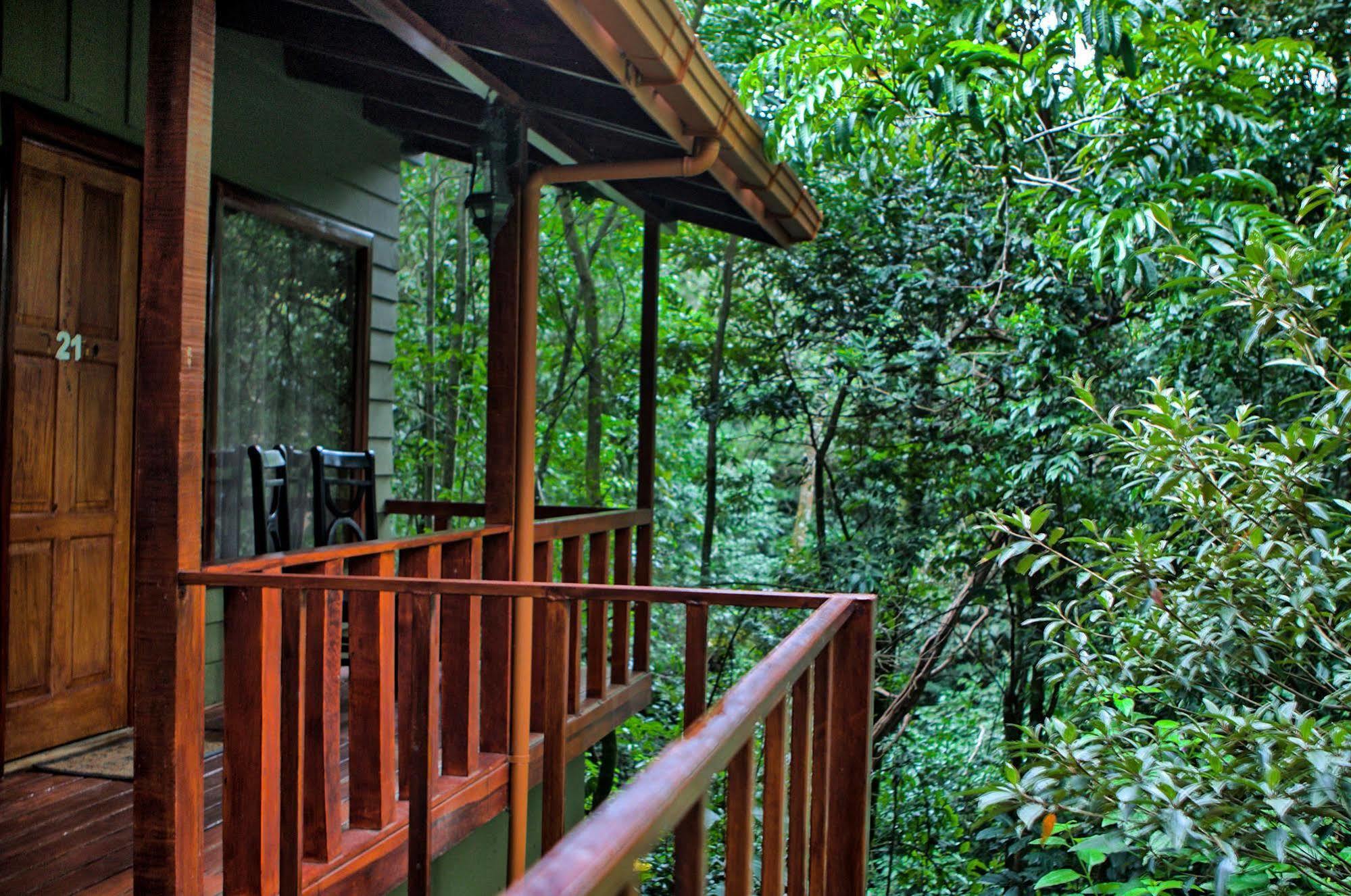 Jaguarundi Jungle Lodge - Monteverde Exterior photo