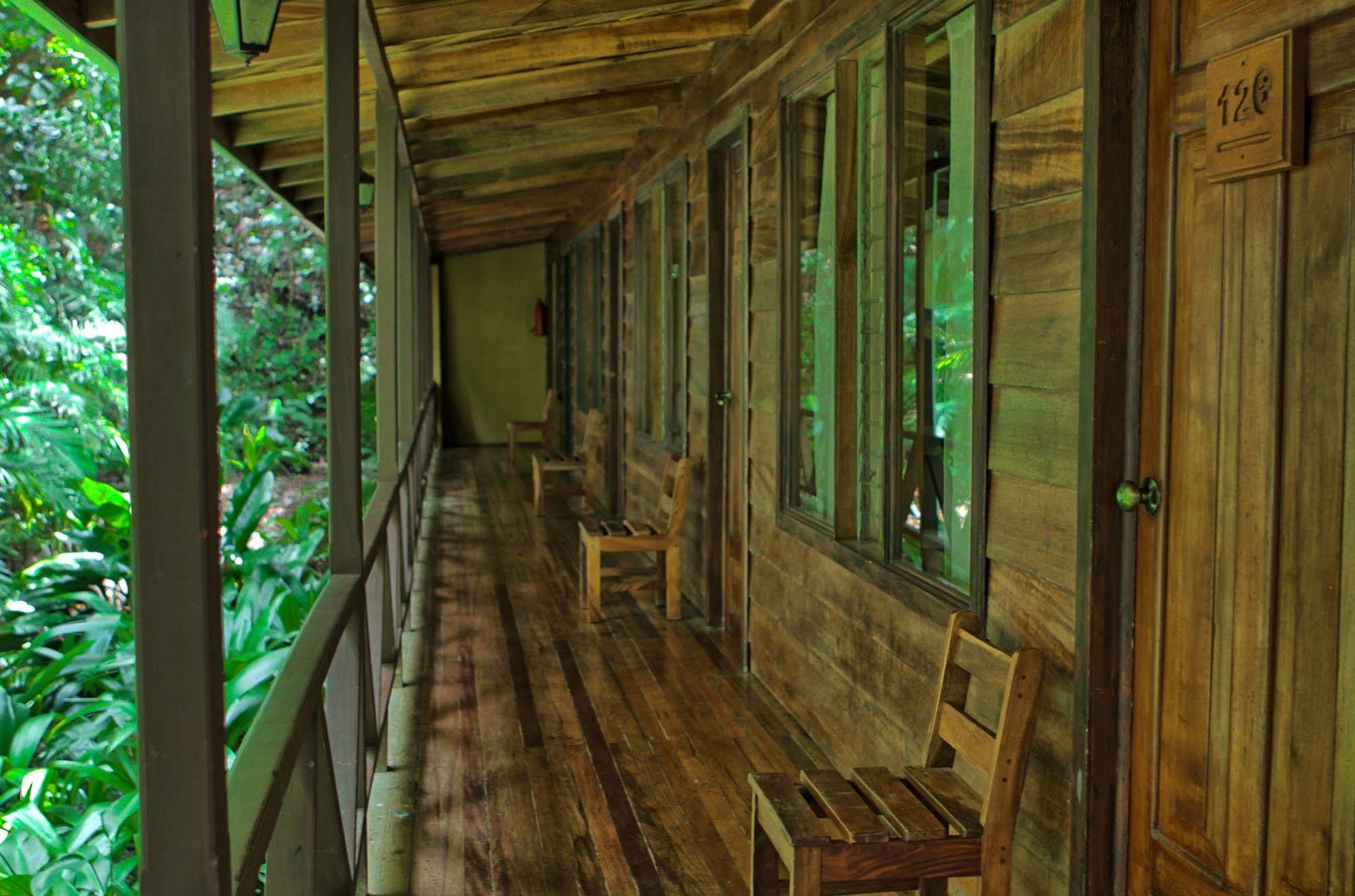 Jaguarundi Jungle Lodge - Monteverde Exterior photo