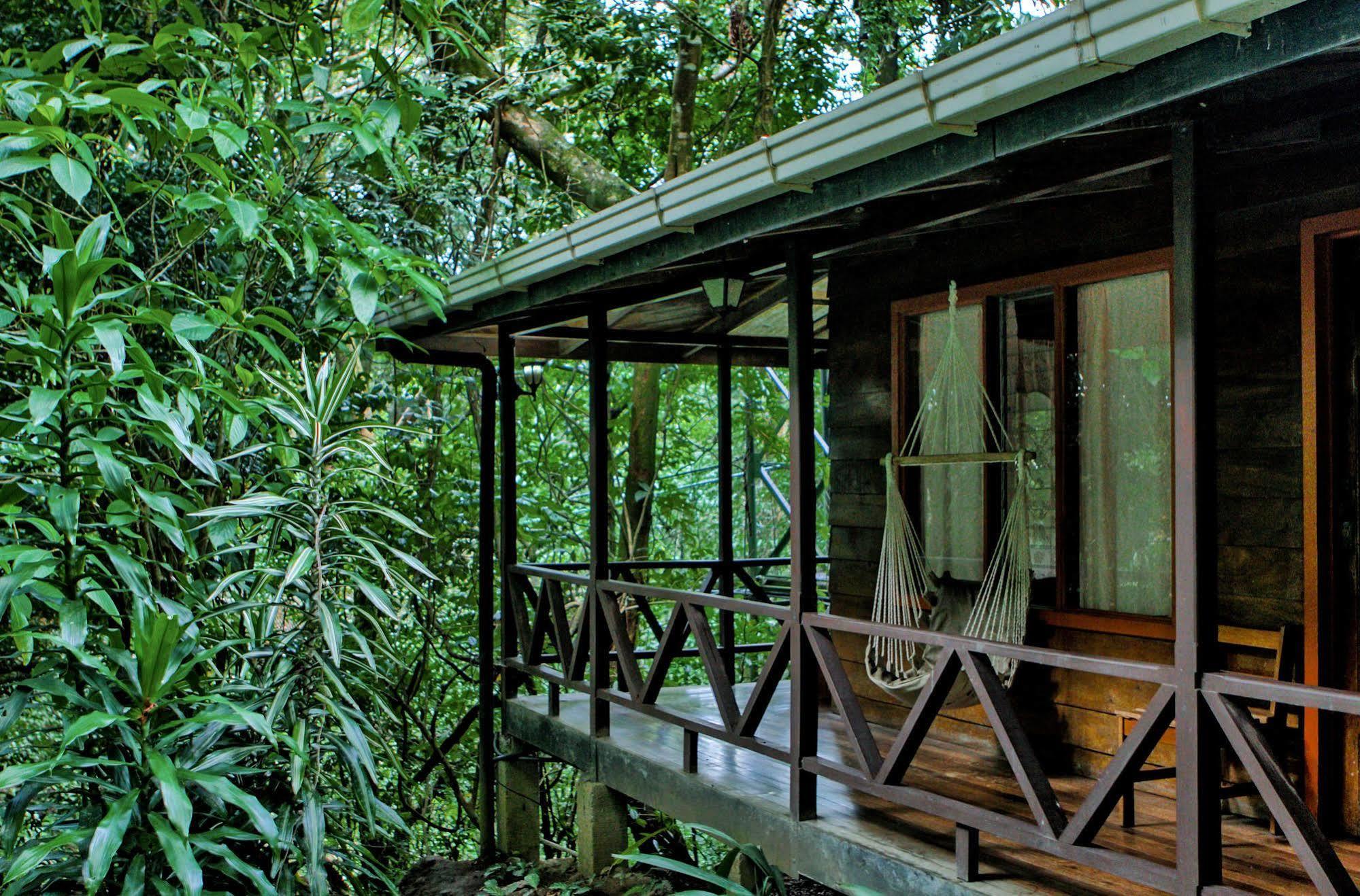 Jaguarundi Jungle Lodge - Monteverde Exterior photo