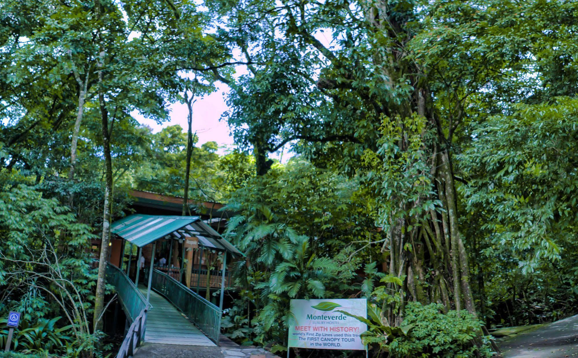 Jaguarundi Jungle Lodge - Monteverde Exterior photo