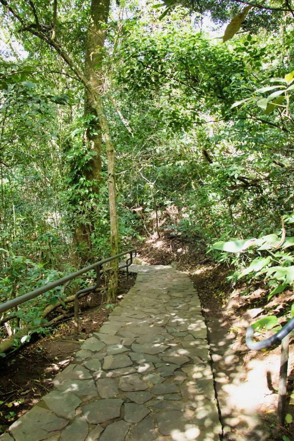 Jaguarundi Jungle Lodge - Monteverde Exterior photo