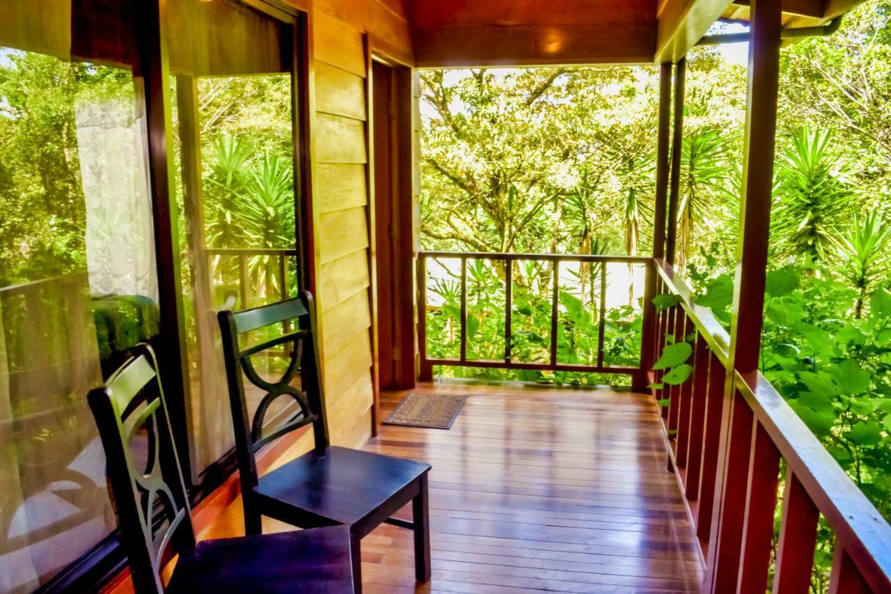 Jaguarundi Jungle Lodge - Monteverde Exterior photo