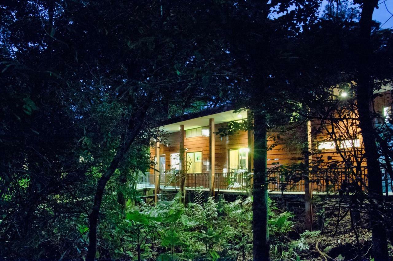 Jaguarundi Jungle Lodge - Monteverde Exterior photo